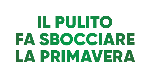 Il pulito fa sbocciare la primavera